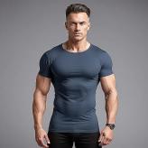 Muscle Fit T Shirt Wholesaler In Bangladesh